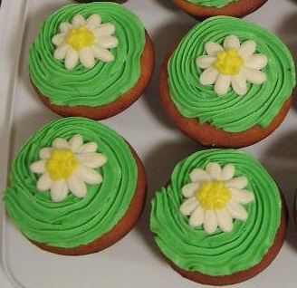 Daisies — full-size photo