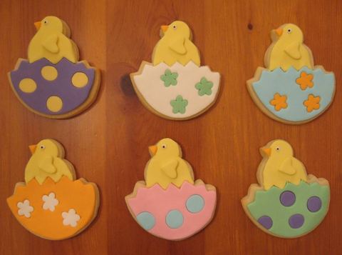 Ducky Hatchlings — handmade cookies