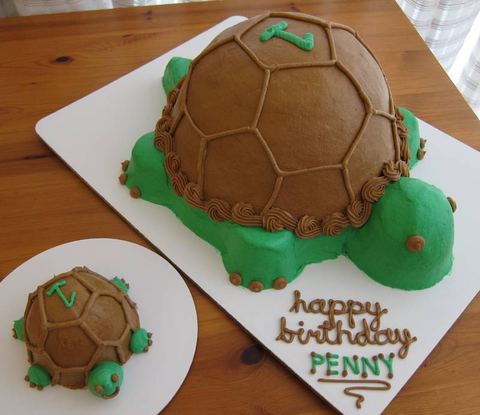 Momma and Baby Turtle — handmade cakes